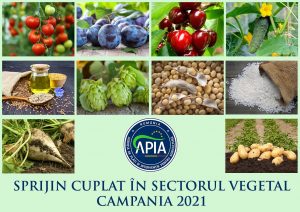 APIA autorizează plățile aferente schemelor de sprijin cuplat în sectorul vegetal – Campania 2021